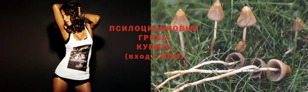 мдма Инта