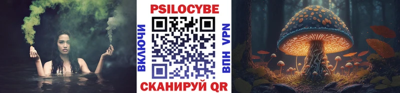 Купить где  Одинцово  Псилоцибиновые грибы мицелий 