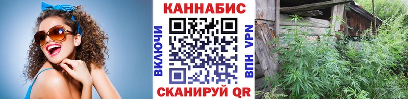 Каннабис планчик  Купить где  Одинцово 